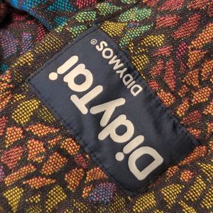 Didymos Didytai
